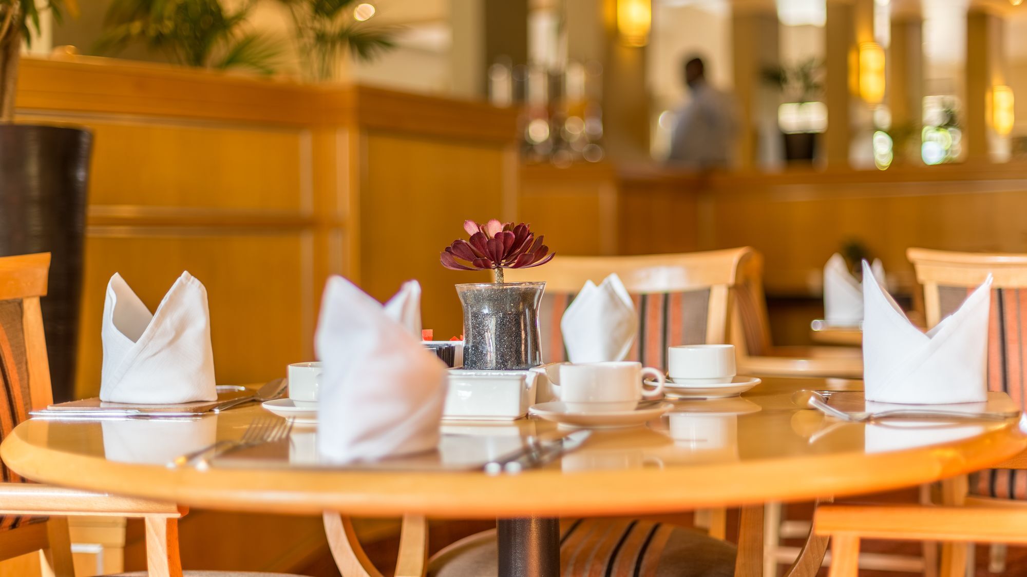 Town Lodge Menlo Park Претория Экстерьер фото